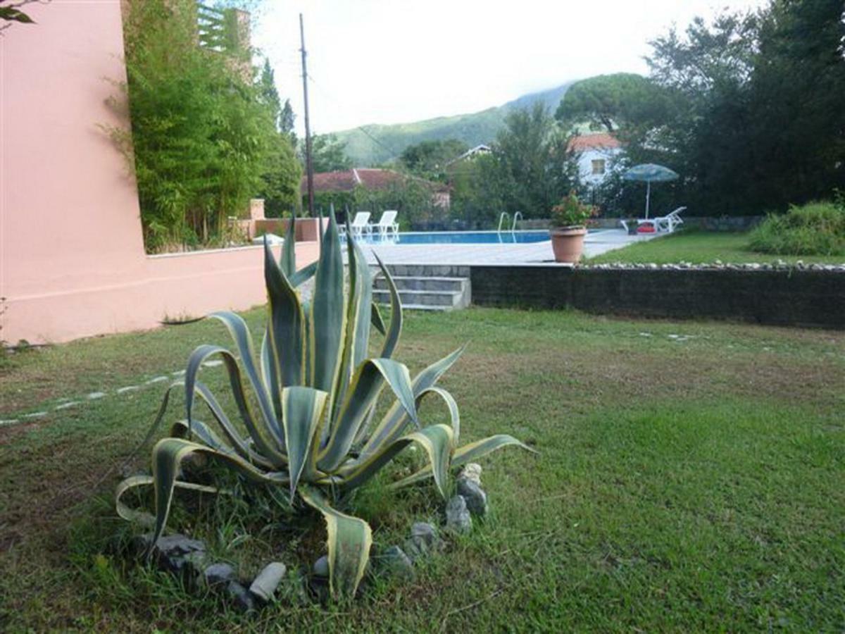 Stathis Apartments Dassiá Exteriér fotografie